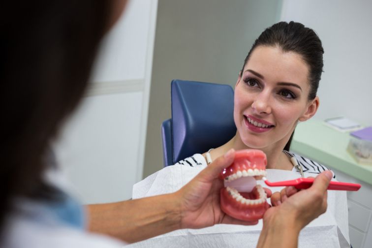 dentist showing set model teeth patient 1-dentist near me