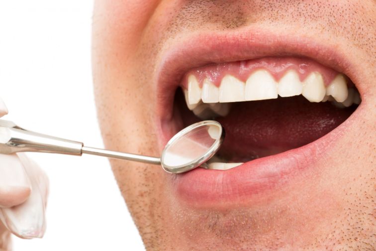 tooth resorption definition