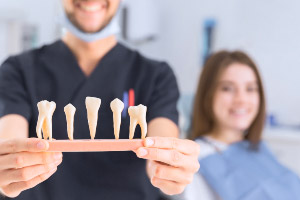 A dentist holding a model of teeth in front of a woman.