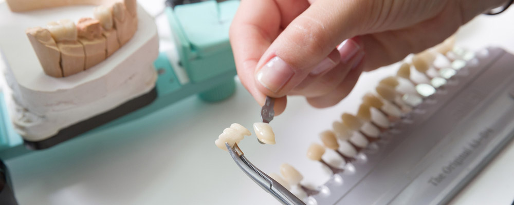 A person is holding a model of a tooth.